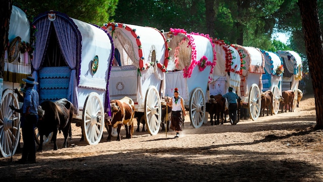 Carros en procesión en El Rocío en dirección a la aldea almonteña, Huelva