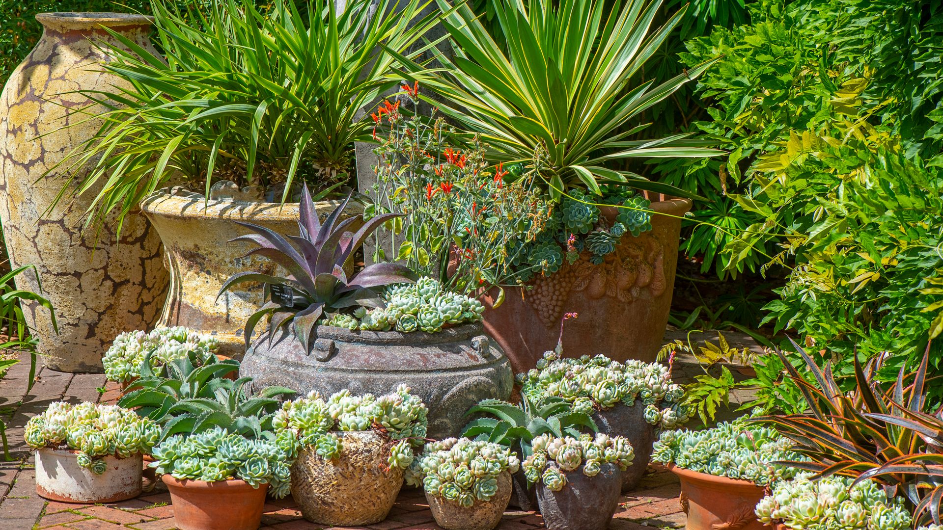 Renueva tu jardín o terraza con estos maceteros grandes de exterior de lo más llamativos