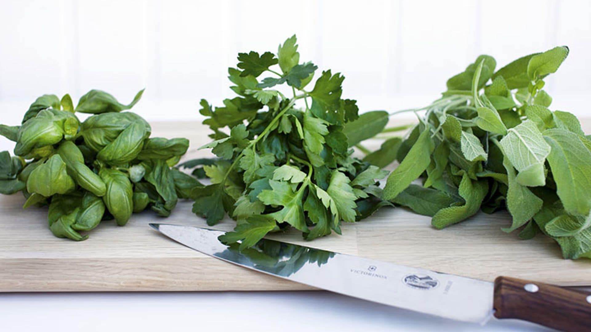 ¿Sabes qué hierbas aromáticas no pueden faltar en tu despensa y cómo cocinarlas?