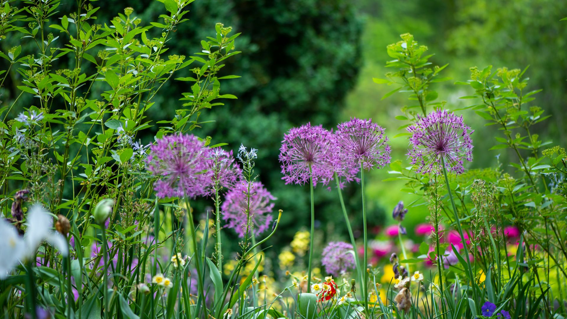 Poco presupuesto, grandes resultados: cómo mejorar tu jardín sin gastar mucho dinero y disfrutarlo en primavera