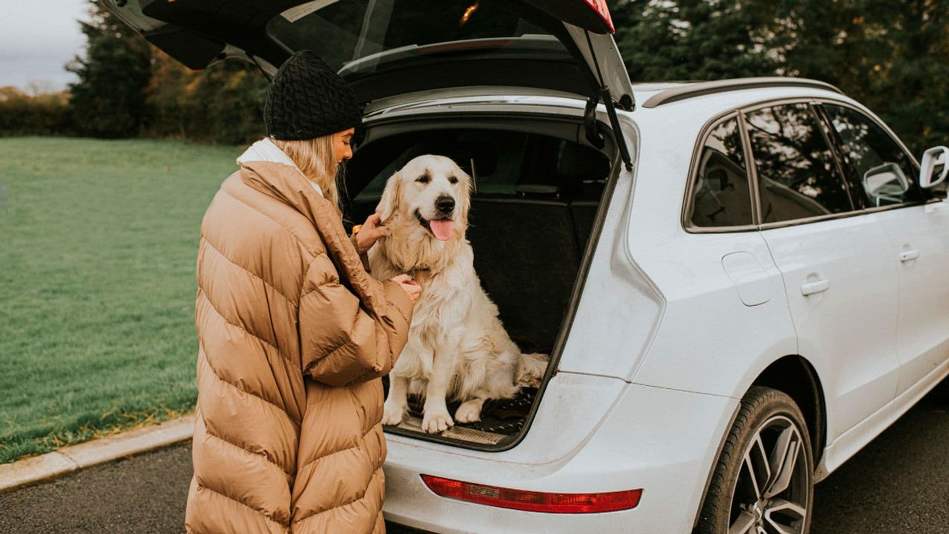 Transportin tela perro grande best sale