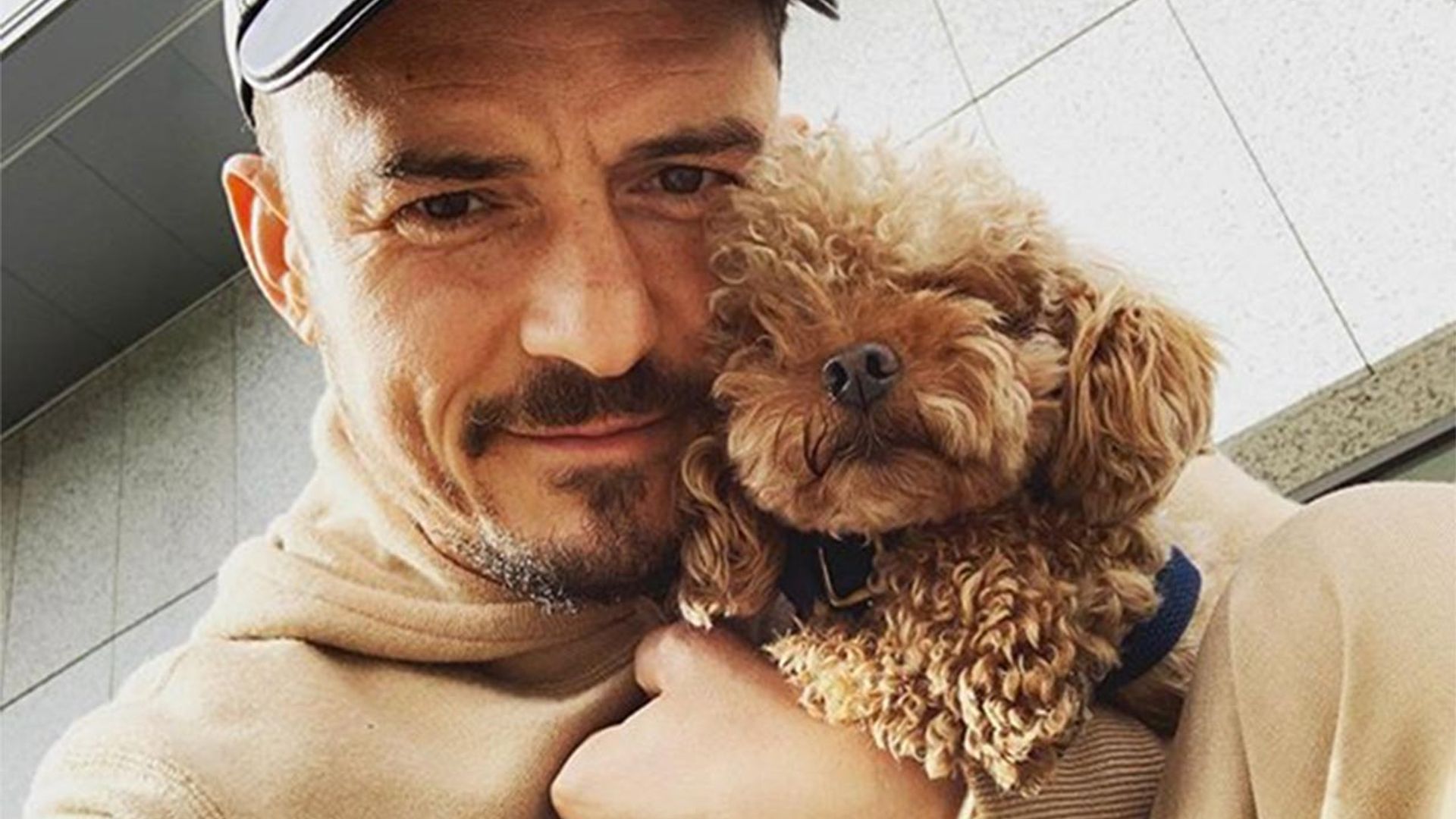 Orlando Bloom pide ayuda desesperada para encontrar a su mascota