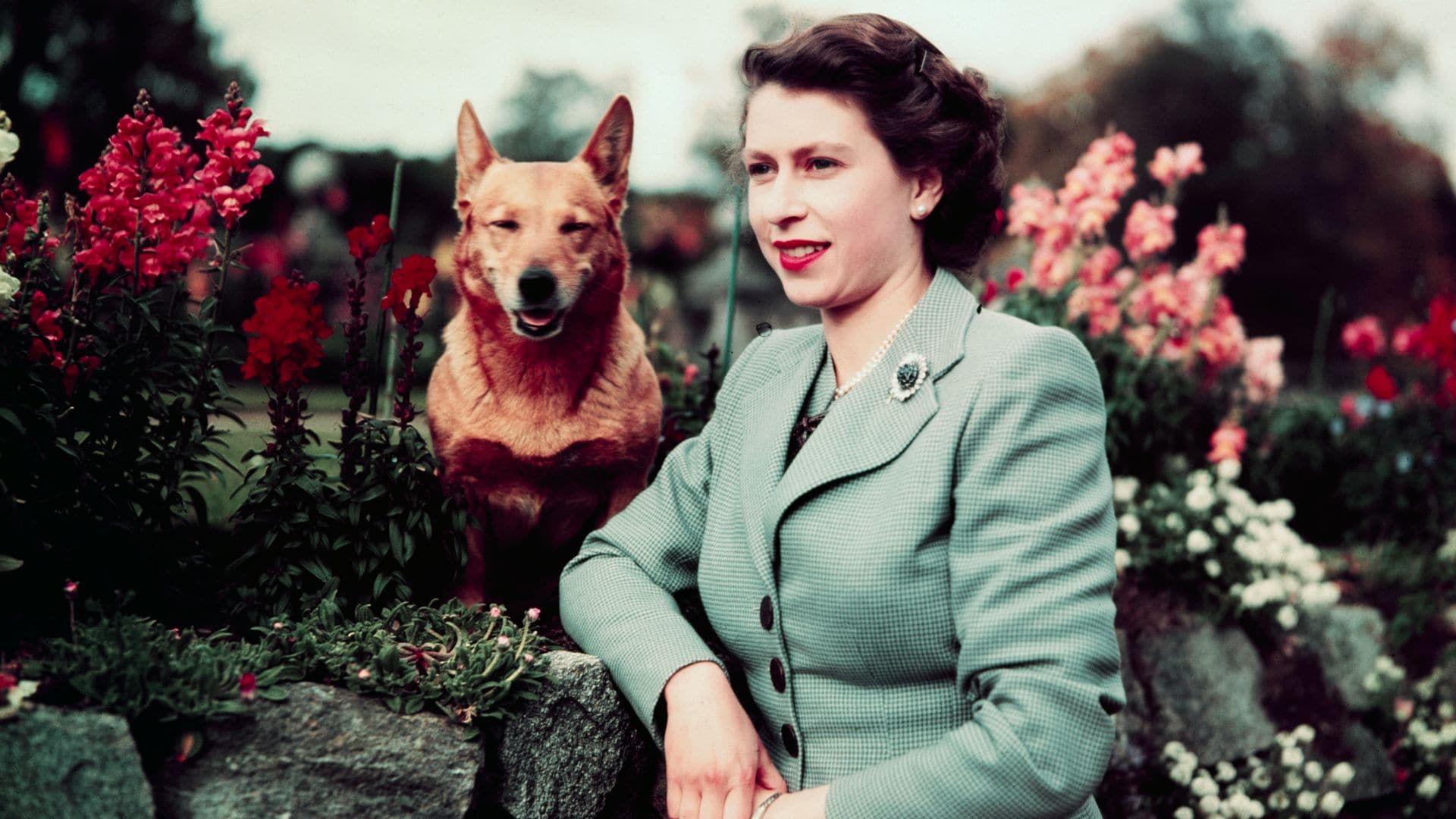 Reina Isabel en 1952