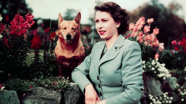 Reina Isabel en 1952