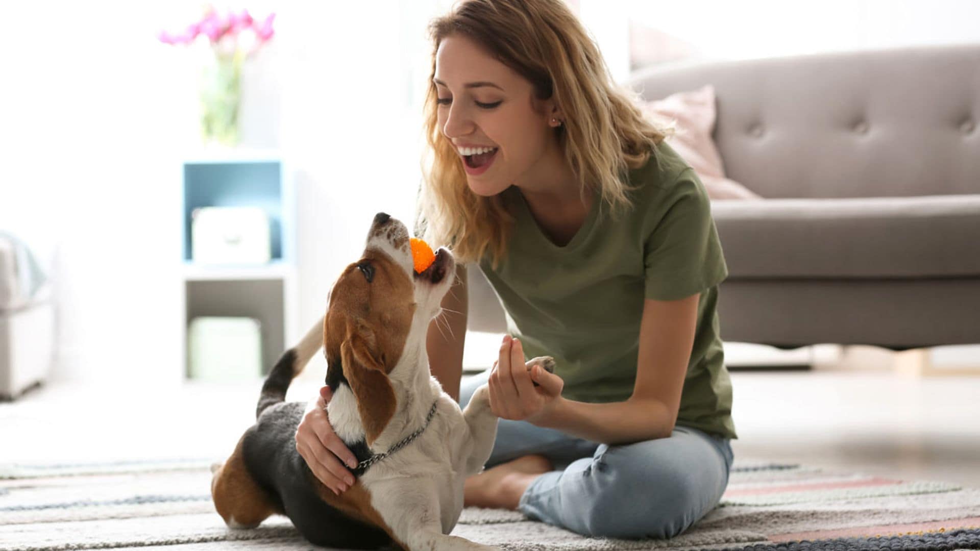 ¿Y tú, sabes cómo hacer feliz a tu perro?