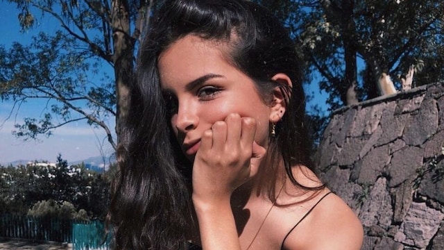 paula levy