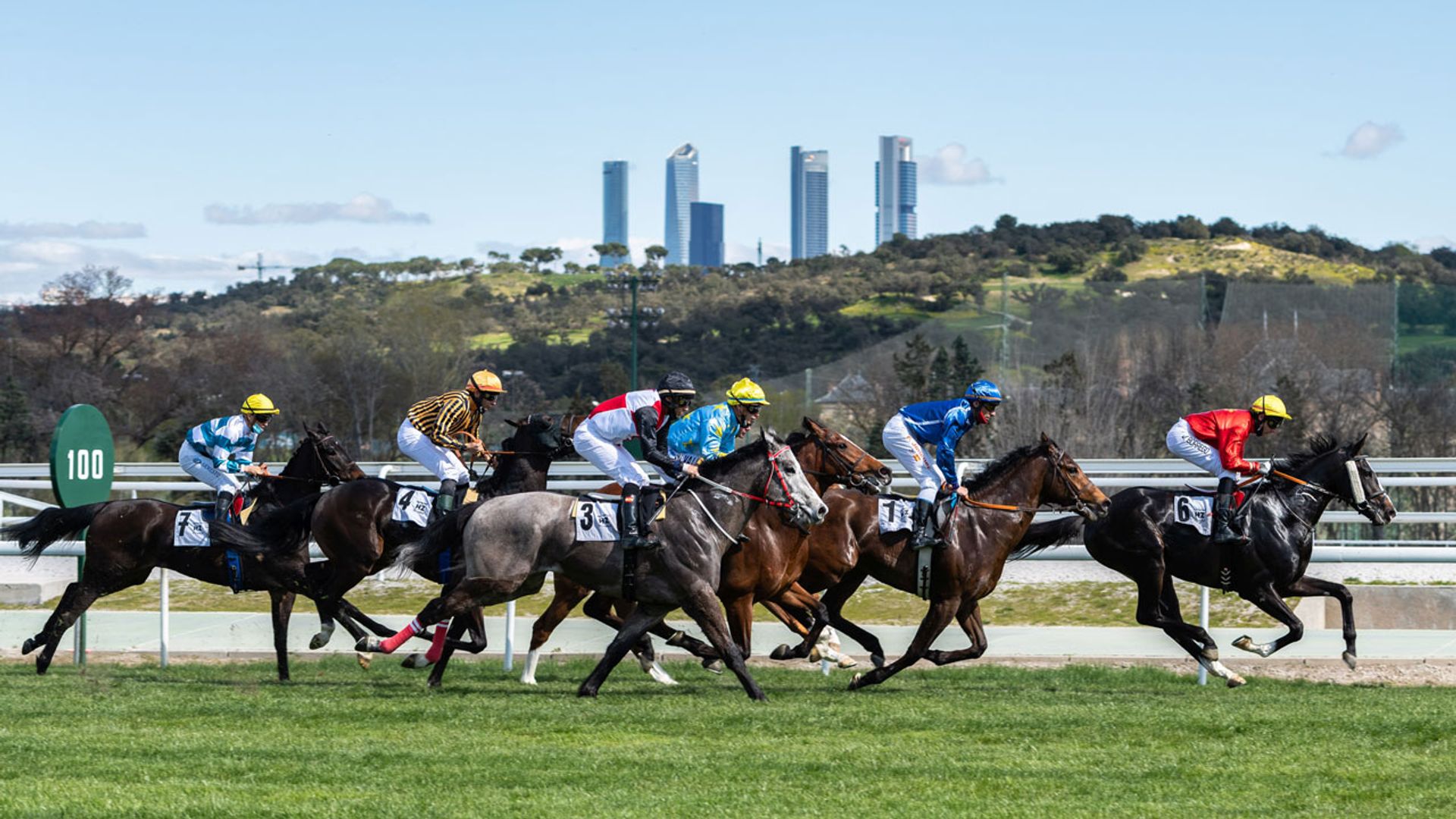 Disfruta del Hipódromo de la Zarzuela, el jueves 2 de mayo, con entrada gratuita