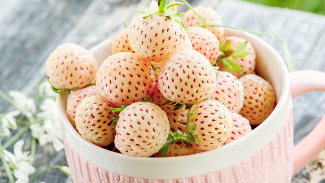 pineberry adob