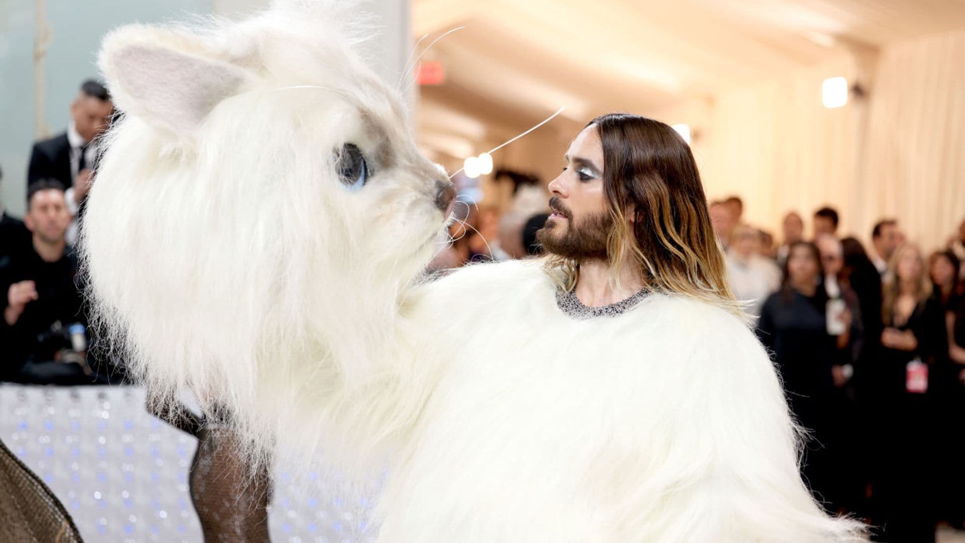 La divertida reacción de un perro al ver a Jared Leto vestido de gato en la gala MET: no te pierdas el vídeo viral