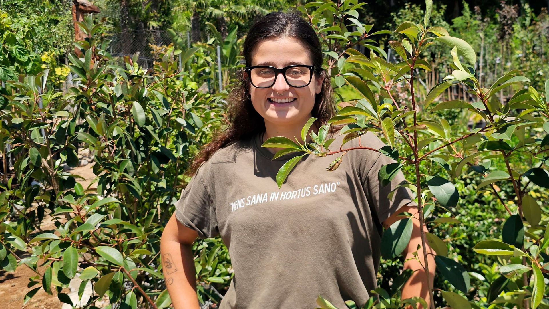 Júlia Lladó, jardinera: "La fotinia es fuerte, vistosa y agradecida: basta una poda tras cada brote rojo para que luzca espectacular"