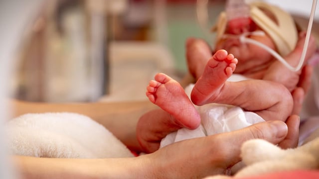 modelos de predicci n de parto prematuro 