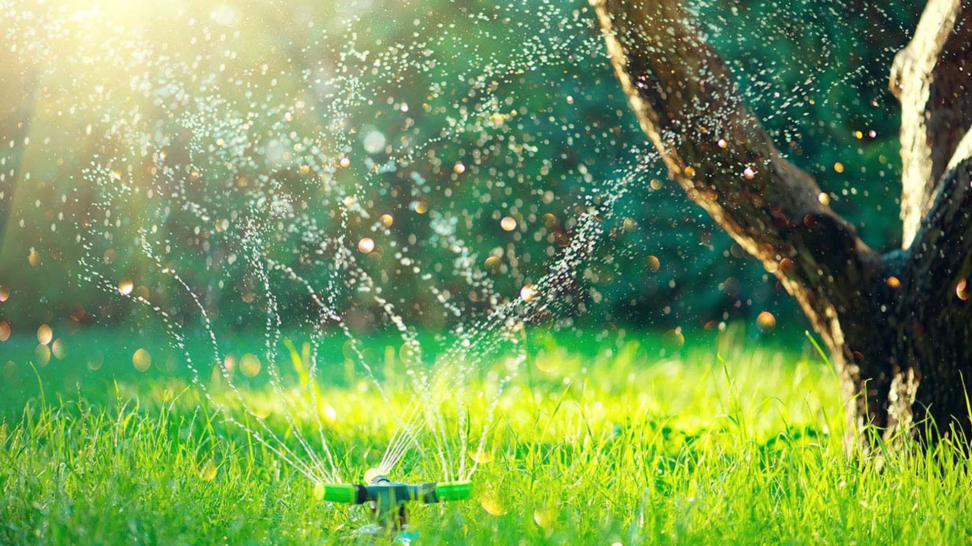 ¿Sabes cuál es el mejor sistema de riego para tu jardín?