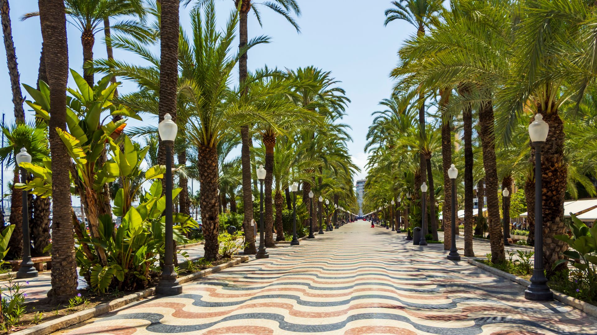 El paseo marítimo más emblemático de Alicante, donde el Mediterráneo se siente bajo los pies
