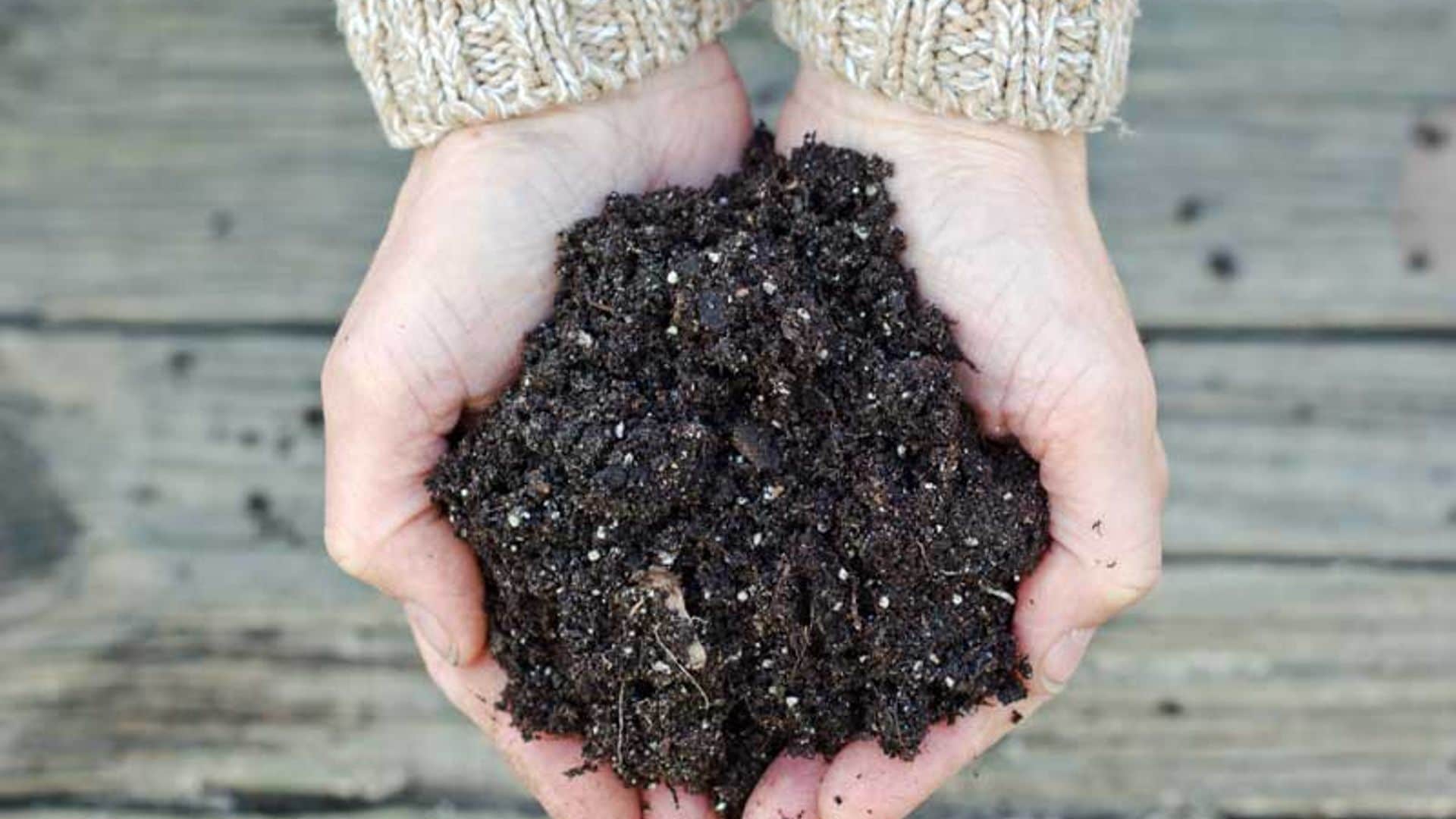 portada_compost