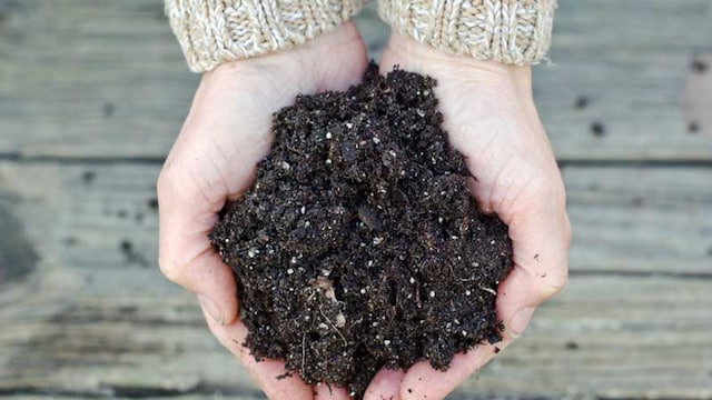 portada_compost