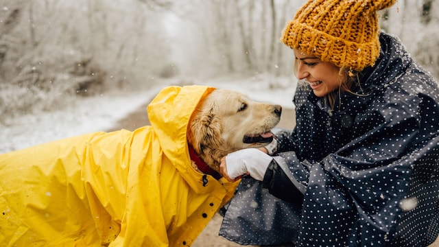 Una chica con su perro llevando un chubasquero amarillo