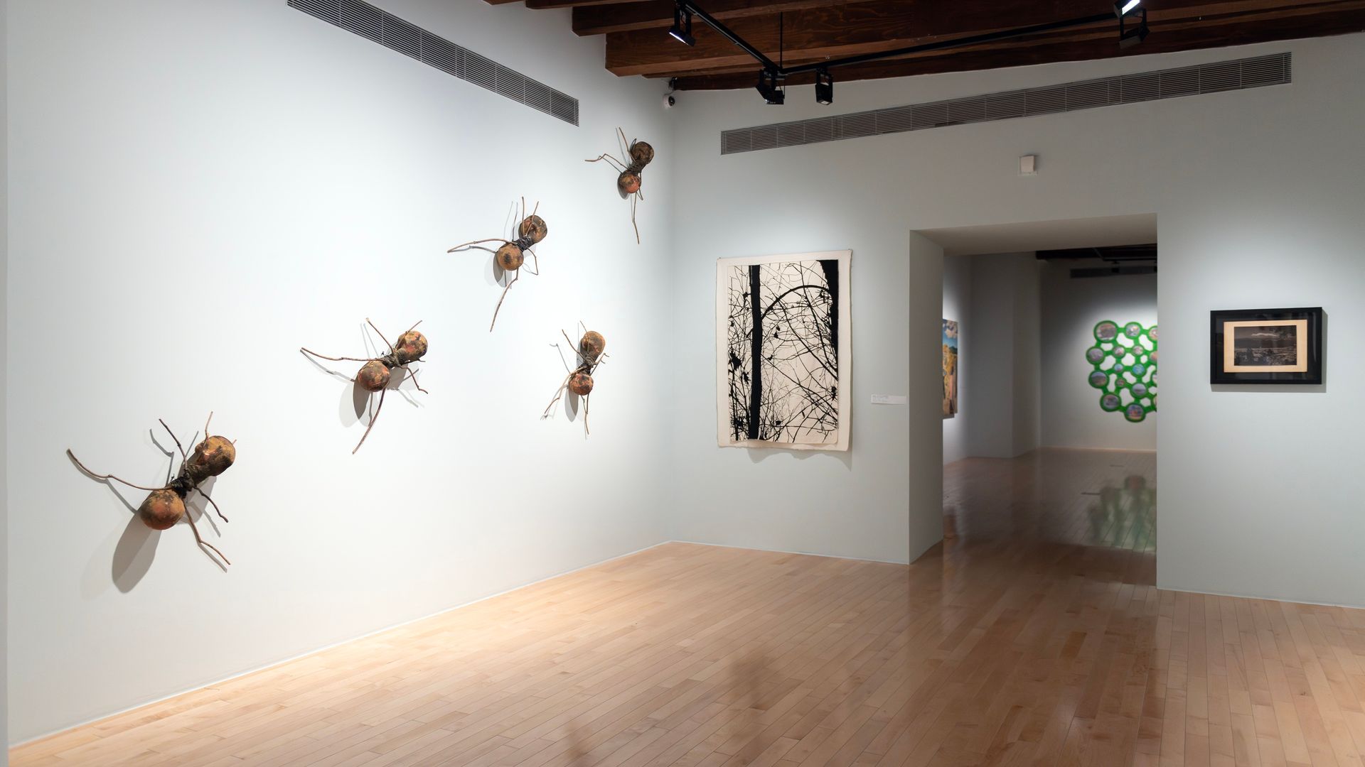 Hormigas de Rafael Gomezbarros