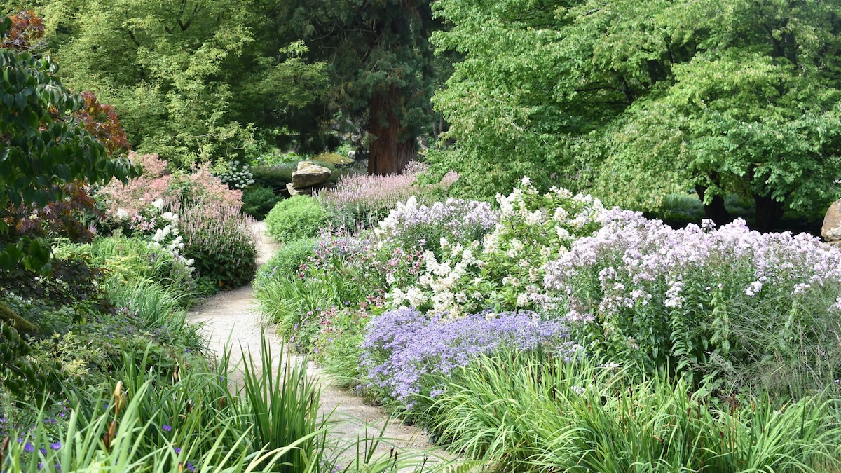 Ideas prácticas para tener un jardín más bonito y biodiverso sin necesidad de usar químicos