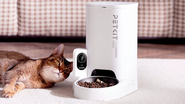 comedero gatos