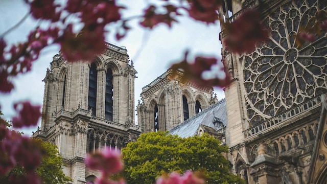 notre dame iglesia santo
