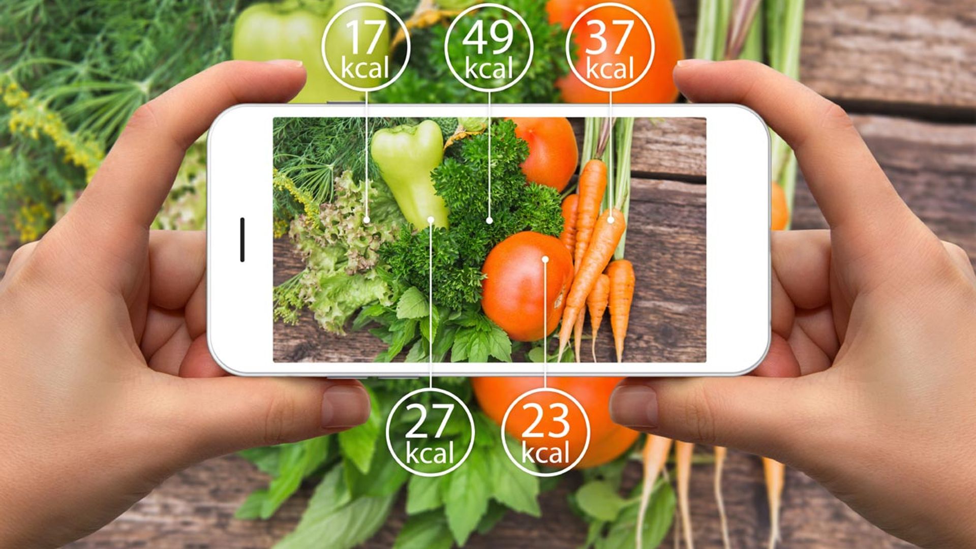 Nutrición: ¿Es saludable reducir las calorías de la dieta?