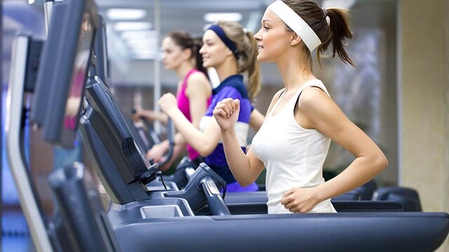 iralgimnasio