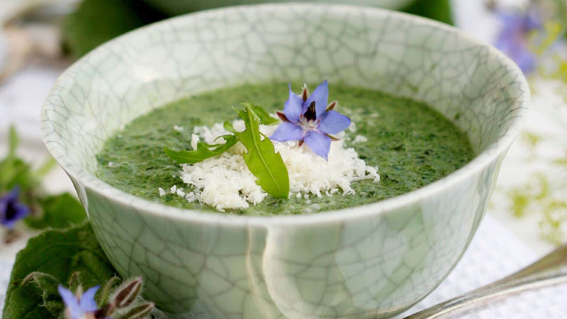 Sopa de borraja y rúcula con parmesano