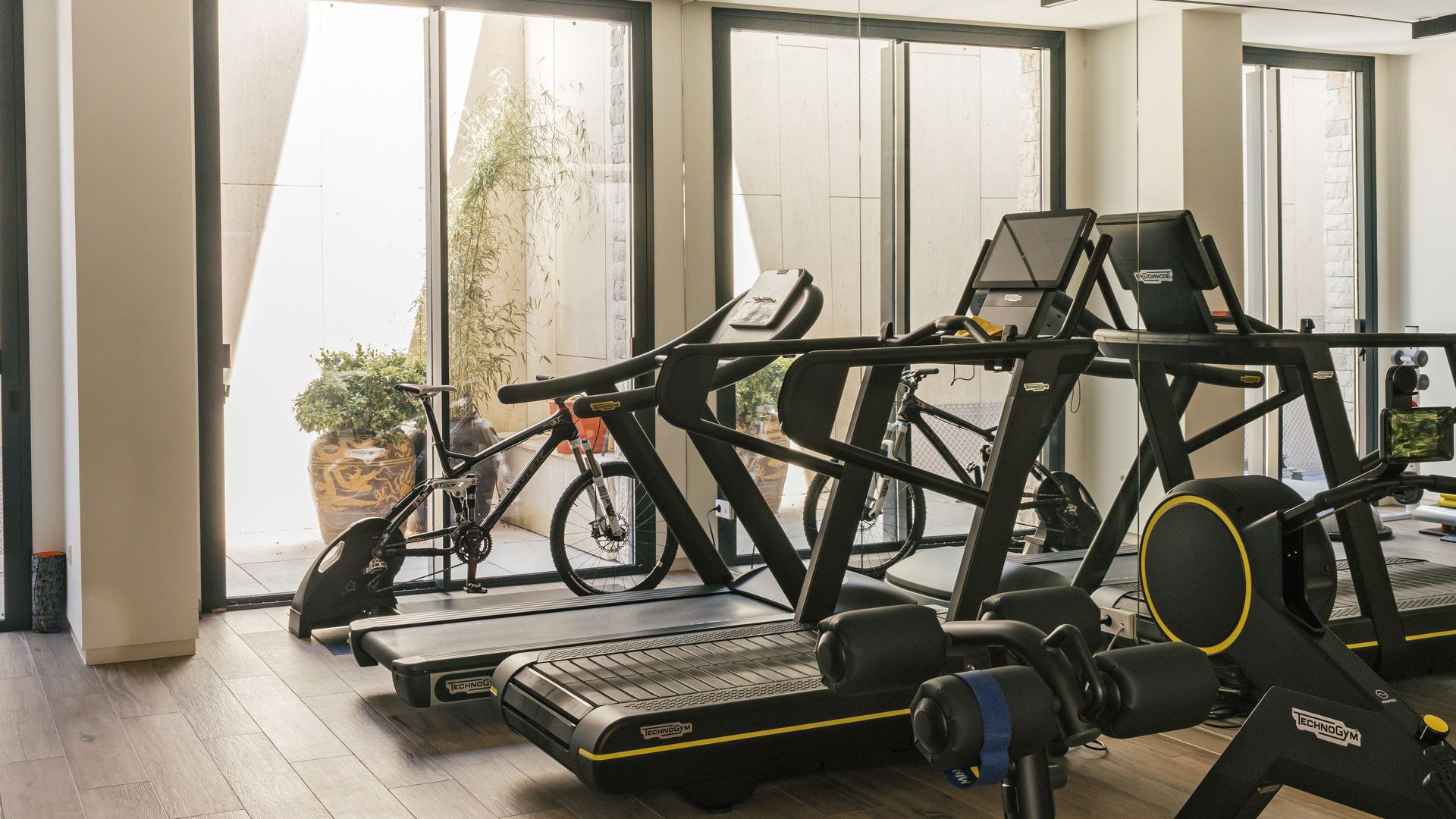 El gimnasio