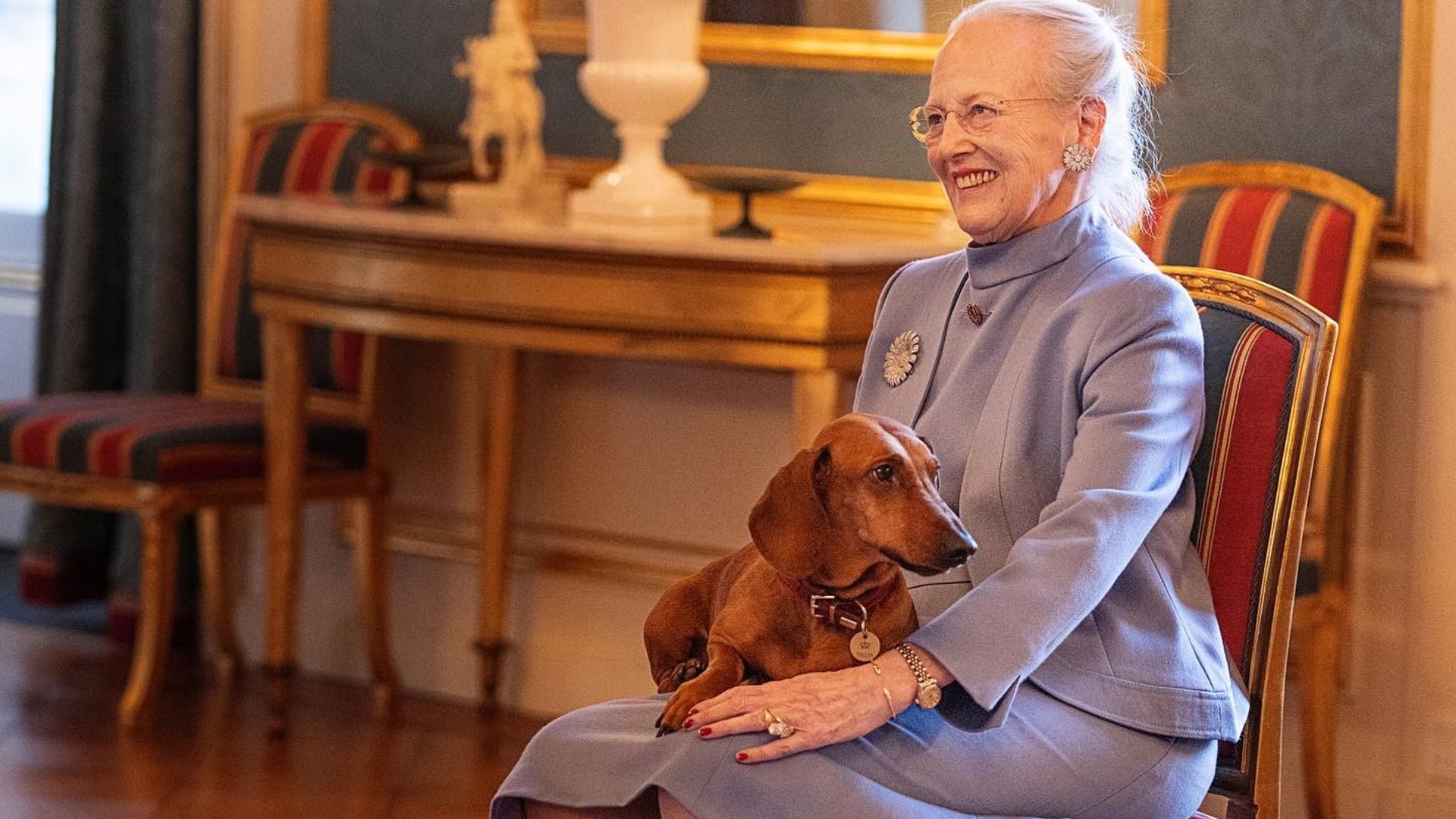 Del perro salchicha que acompaña a la reina Margarita a las cenas de gala al chiguagua de Charlene de Mónaco: conoce a las mascotas de la realeza