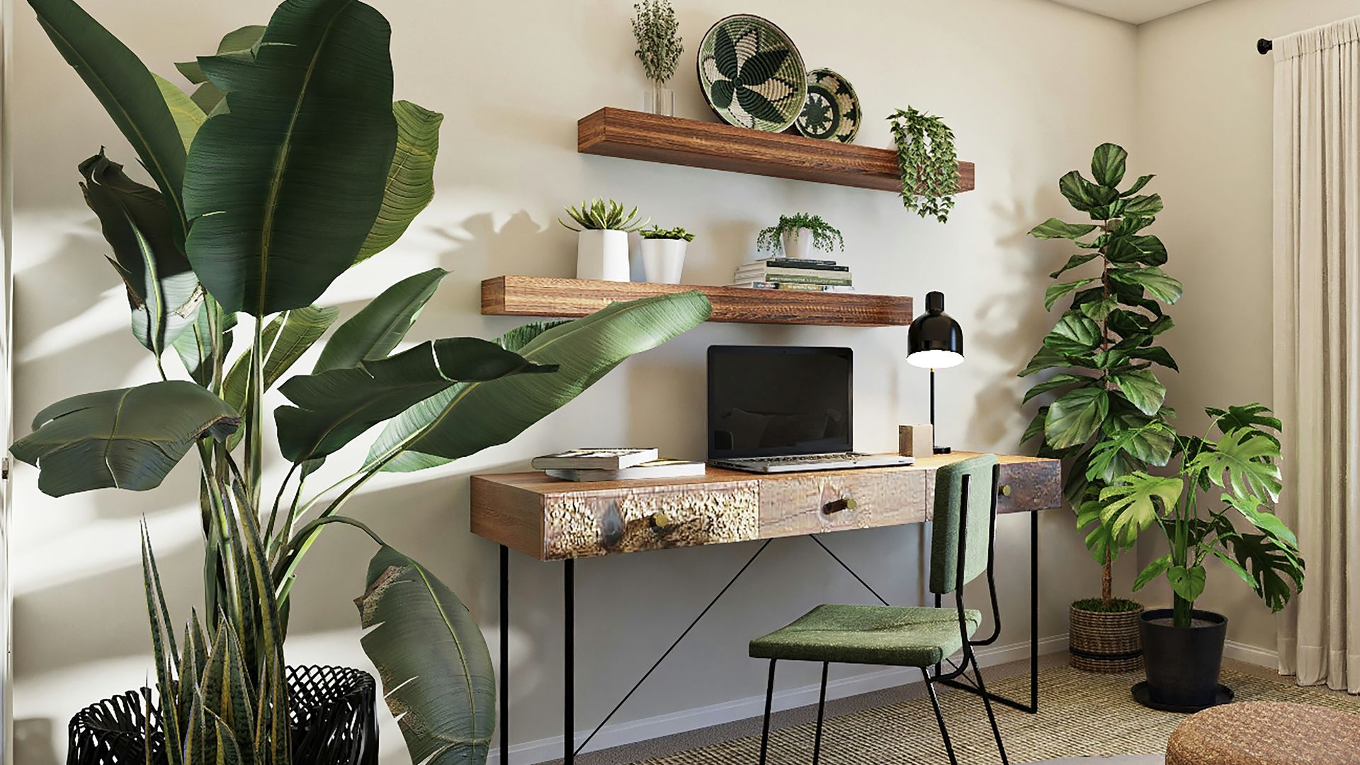Plantas de interior: cómo distribuirlas en casa para un efecto más natural y equilibrado