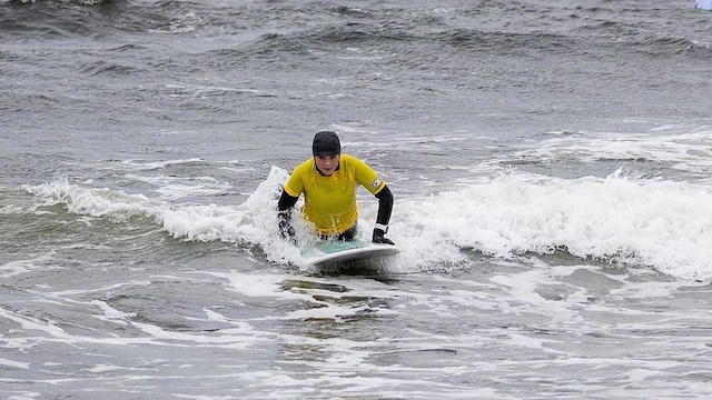 ingrid surf ig