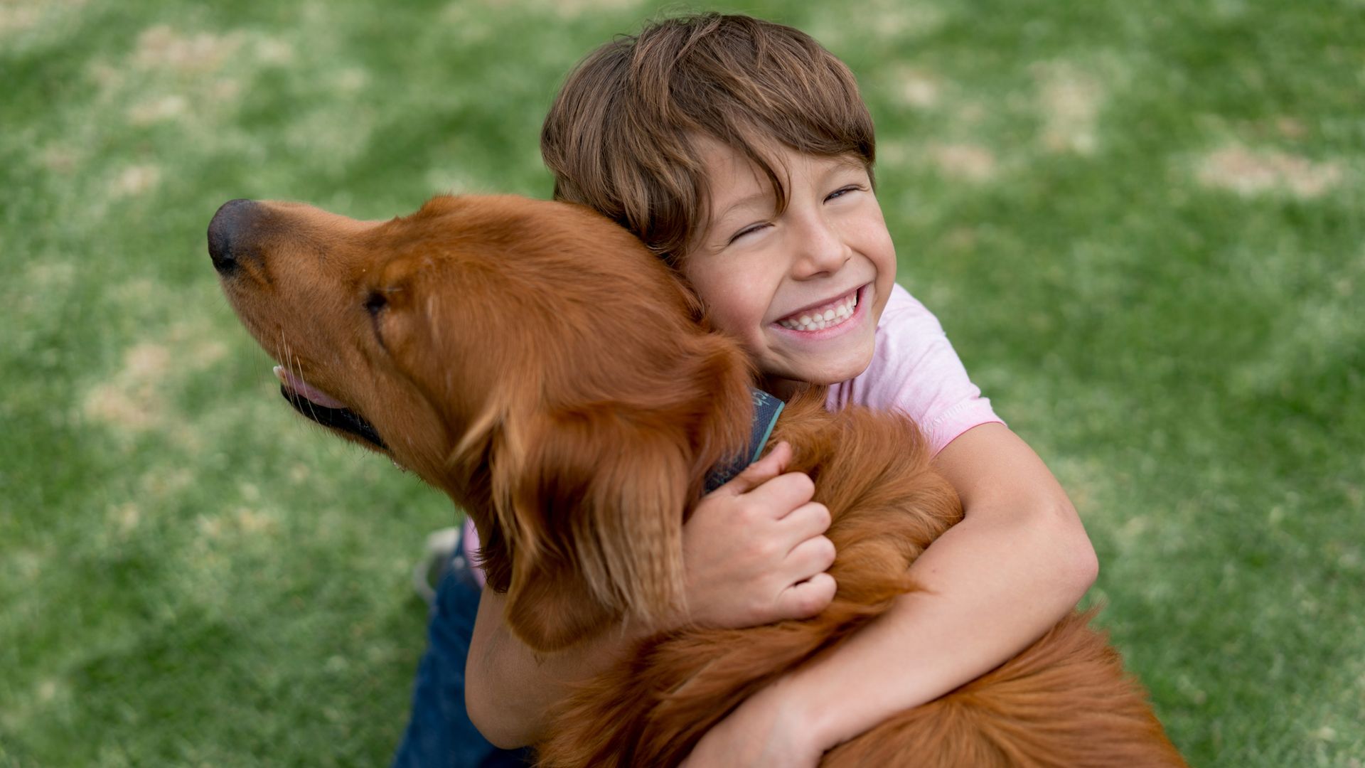 Un niño abraza a su perro