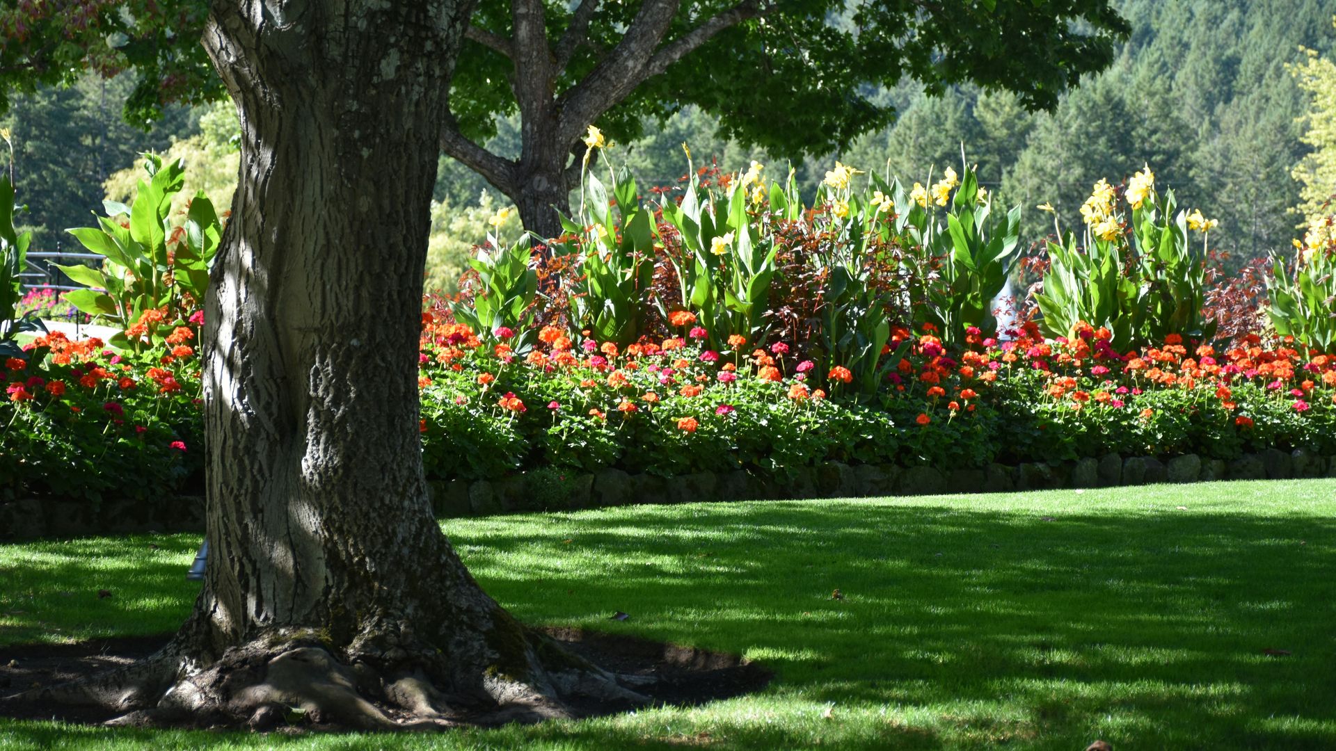 Jardín