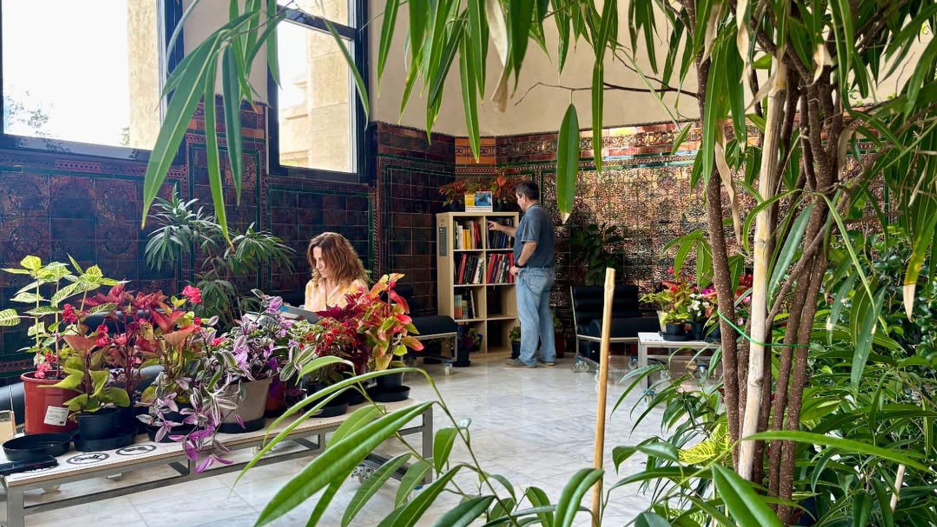 Refugio climático de plantas de viveros de Madrid en CentroCentro