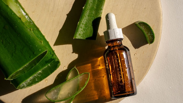 aloe vera 