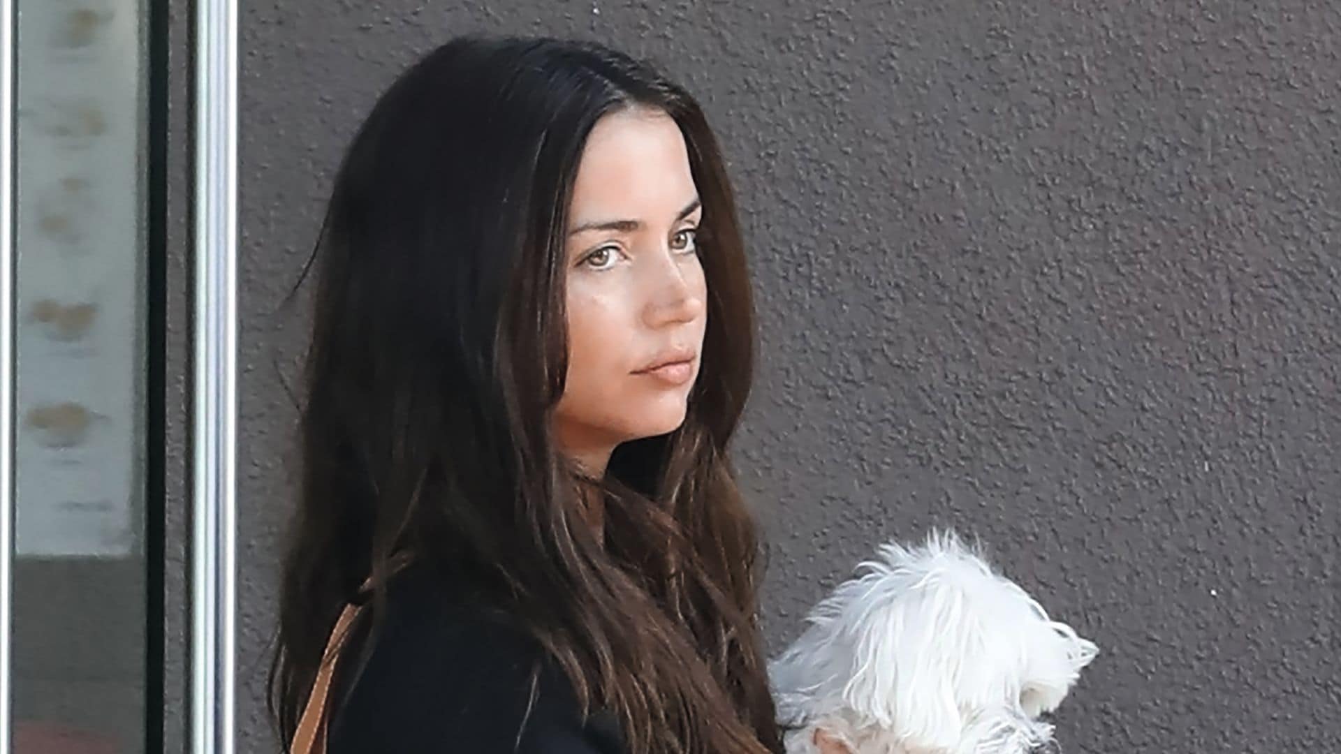 Ana de Armas sostiene en brazos a "Elvis", convertido en testigo silencioso de su nueva vida lejos de Tom Cruise.