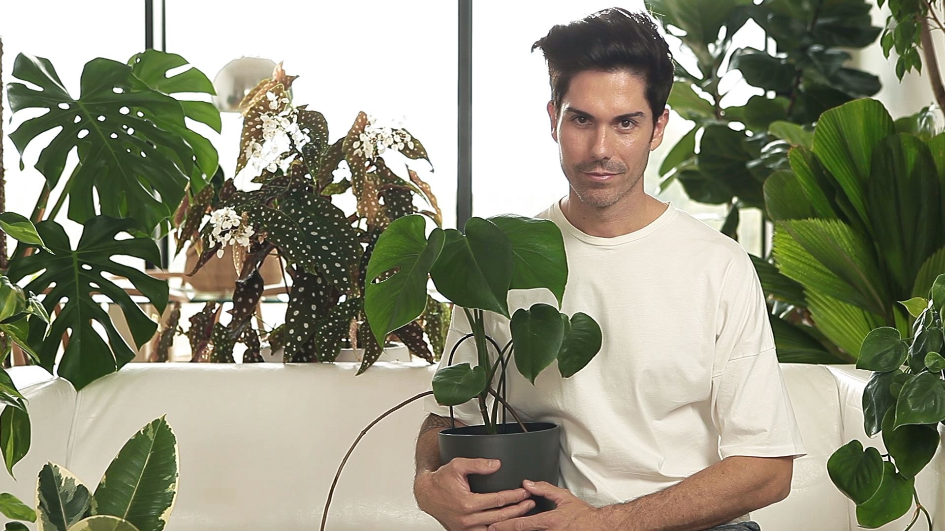 Retrato de Moisés Castañeyra, fundador de Moiplants y experto en plantas