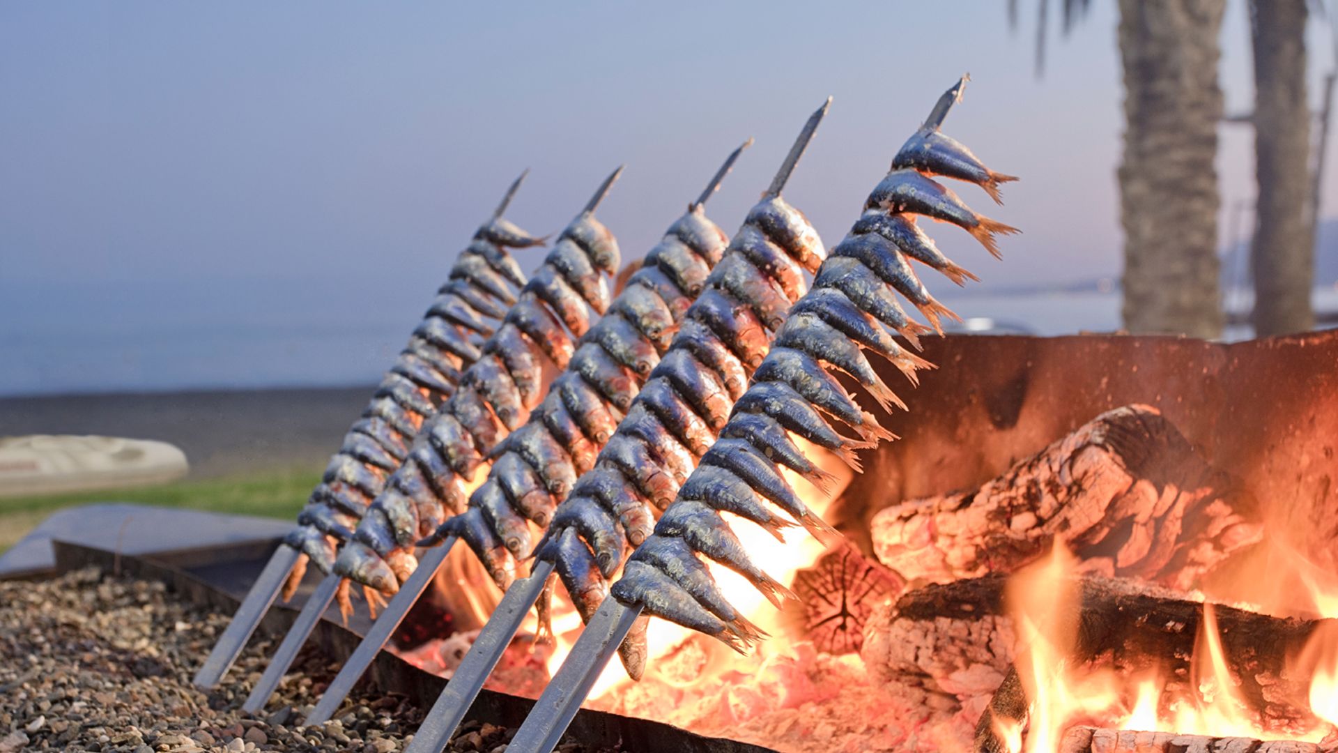 Agosto sigue siendo un gran mes para disfrutar de las sardinas.