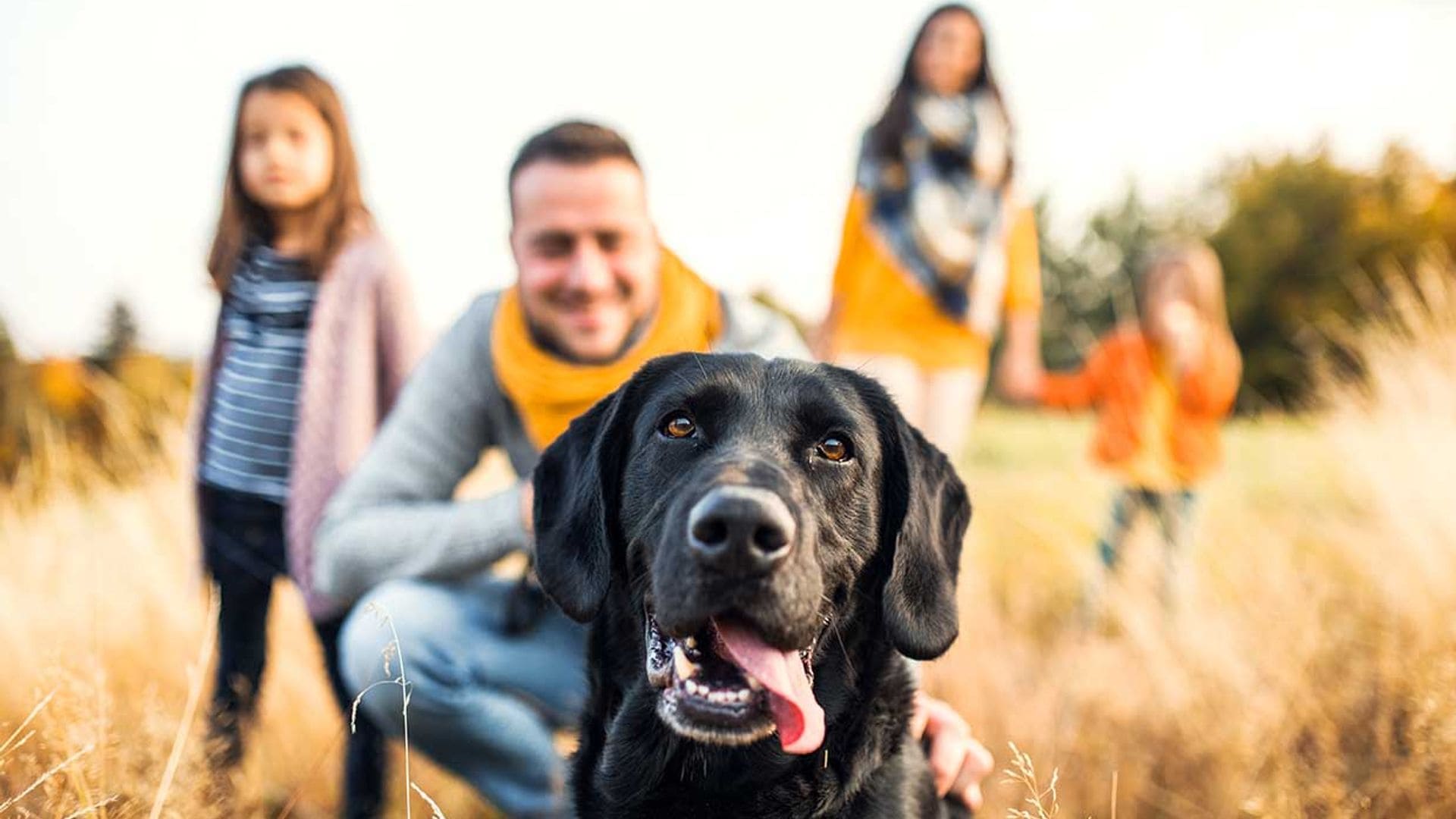 Rasgos de tu comportamiento que denotan que tu mascota es parte de la familia