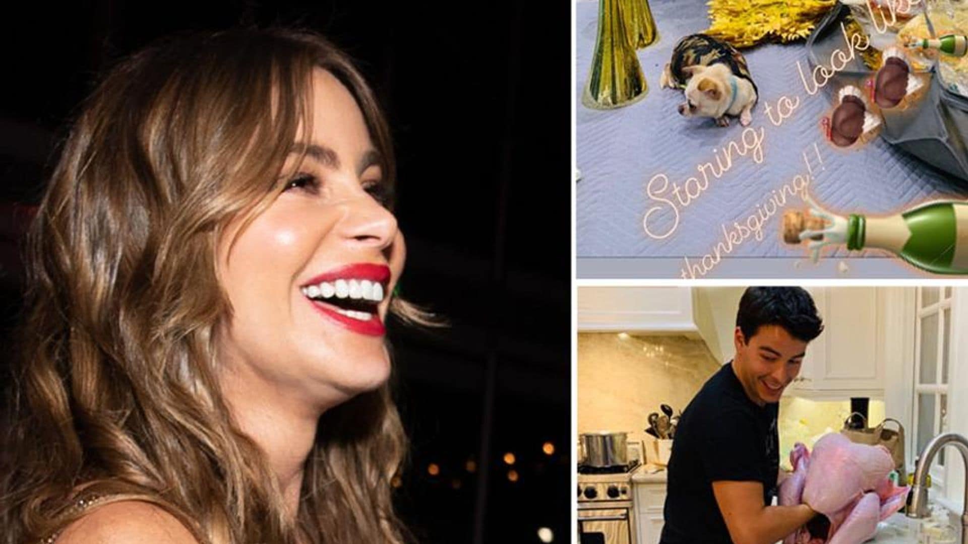 Sofía Vergara está lista para Thanksgiving, ¡mira quién rellenó el pavo!