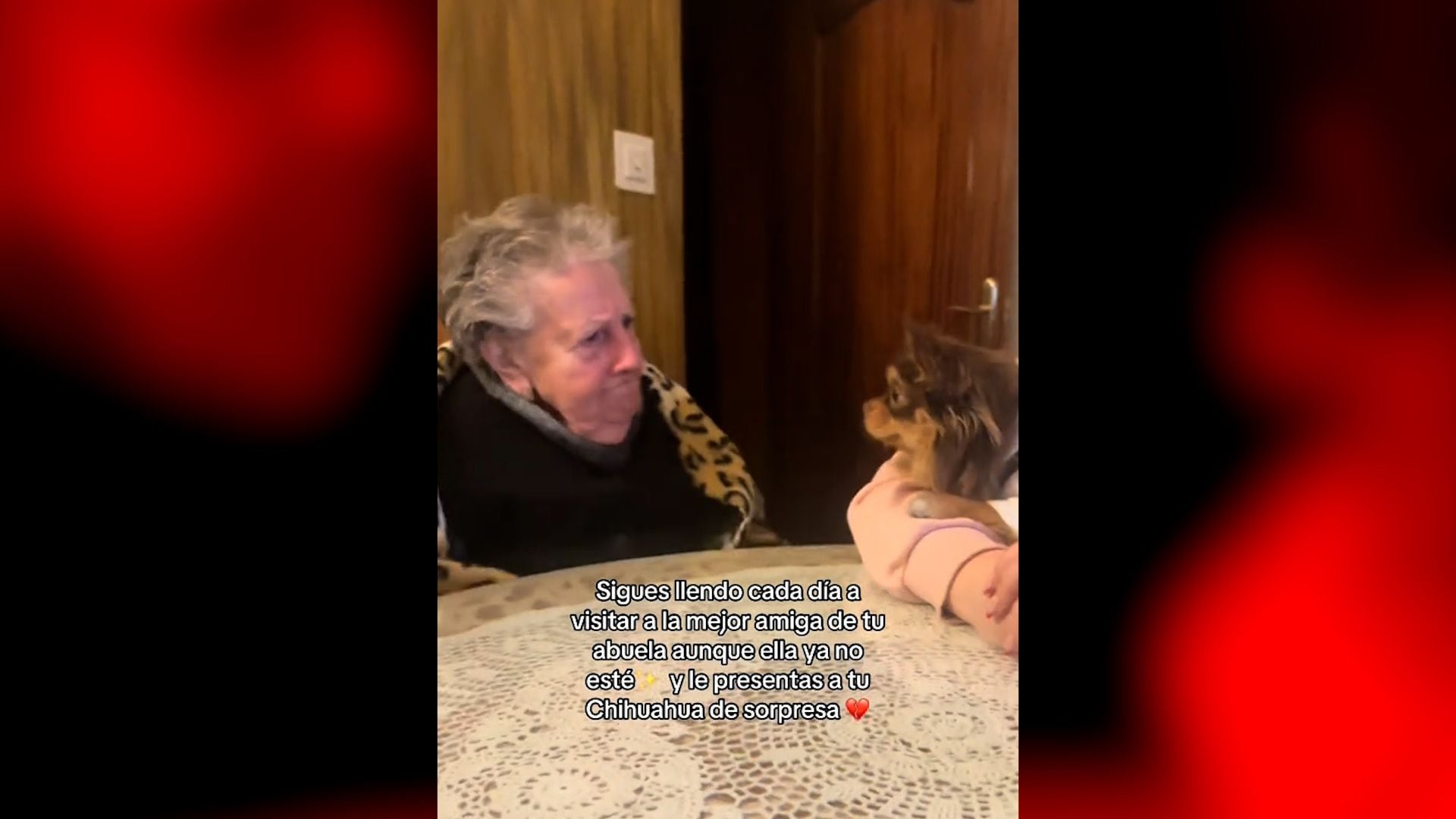 El vídeo más emotivo del día: la enternecedora relación de una joven y la mejor amiga de su abuela