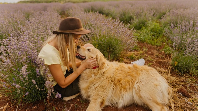 mujer perro lavanda
