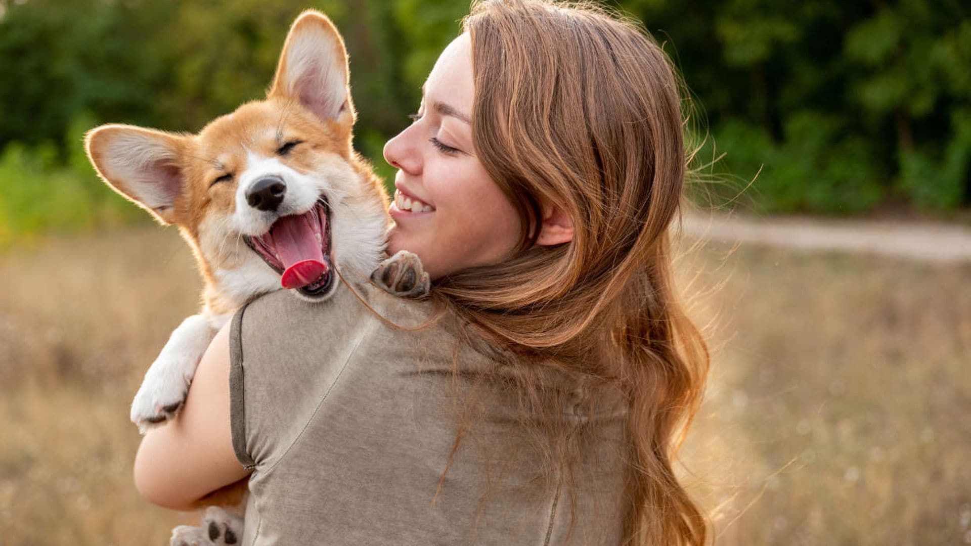 Todo lo que debes saber sobre la nueva Ley de Bienestar Animal antes de que entre en vigor