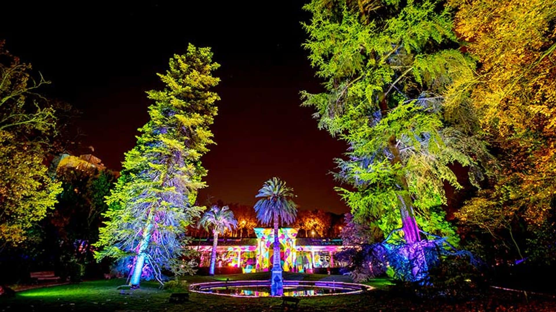 El Jardín Bótánico se enciende por Navidad con miles de luces
