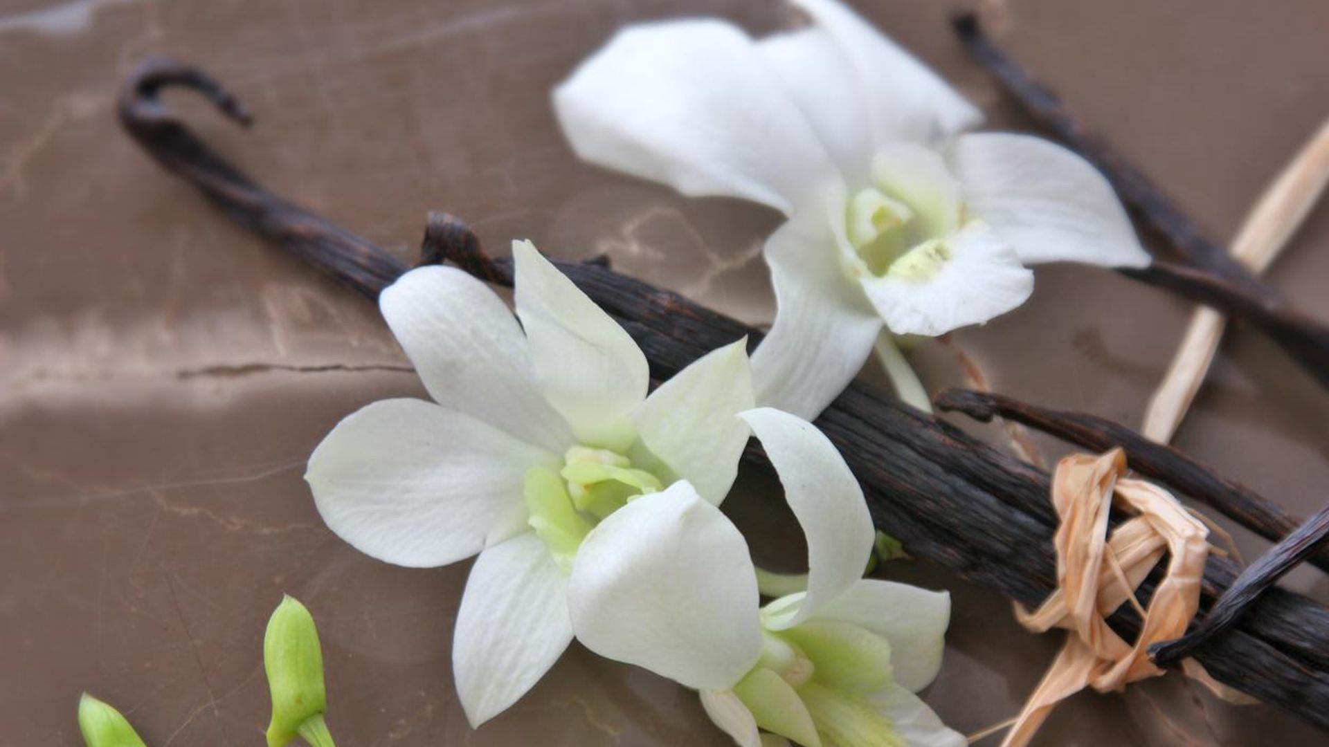 Vainilla: sinónimo de salud y belleza