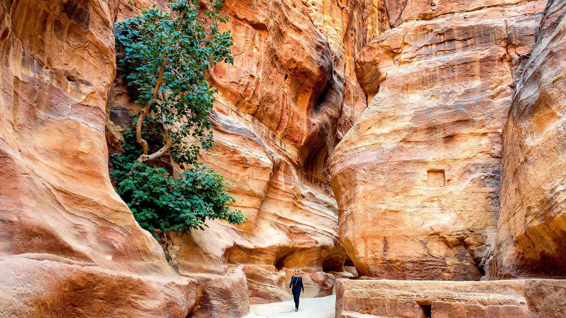 Petra: al ‘tesoro’ por la puerta de atrás