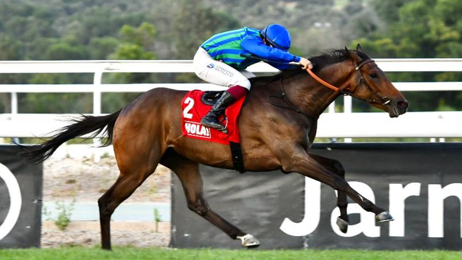 Gran espectáculo en la hípica y lucha por el Premio My Mourne patrocinado por ¡HOLA!, que ya tiene ganador