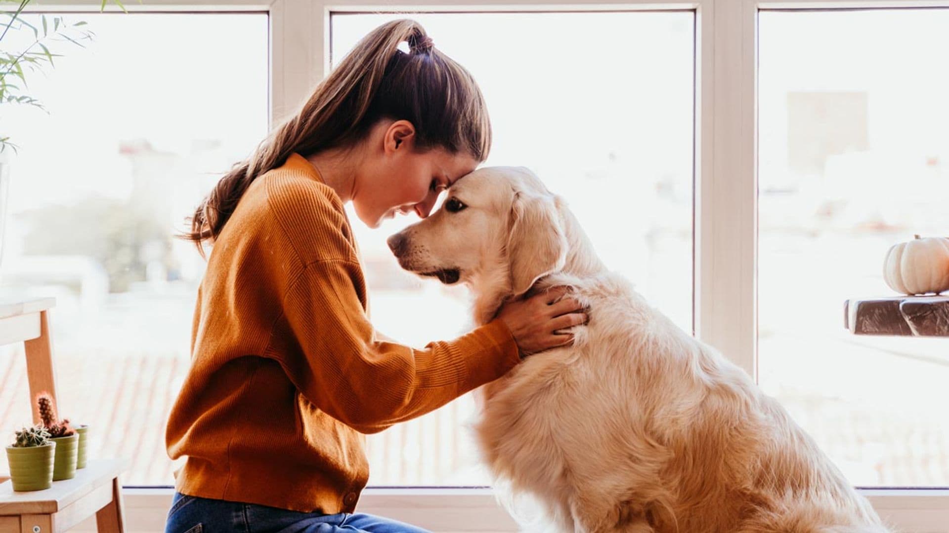 ¿Qué gastos conlleva tener un perro?