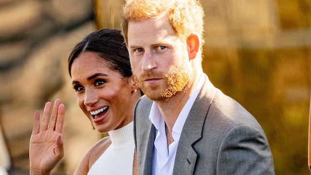 sussexdirectora t