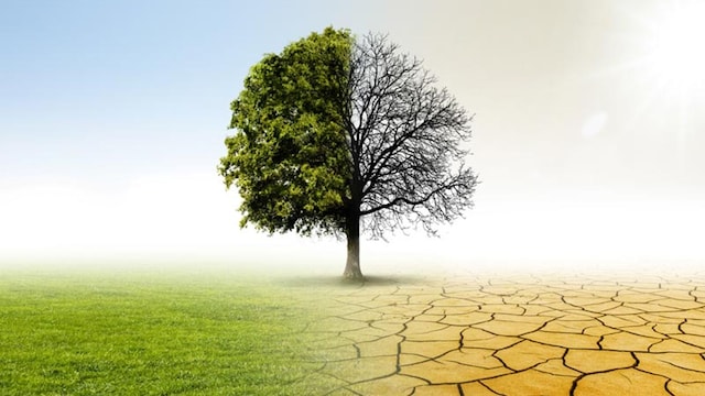 cambio climatico
